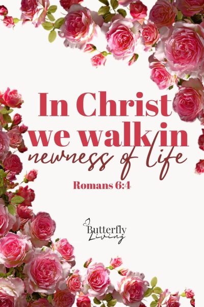 words and flowers-identity in christ