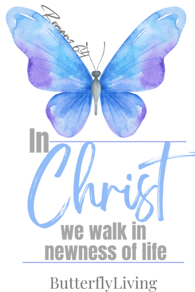 butterfly-identity in Christ