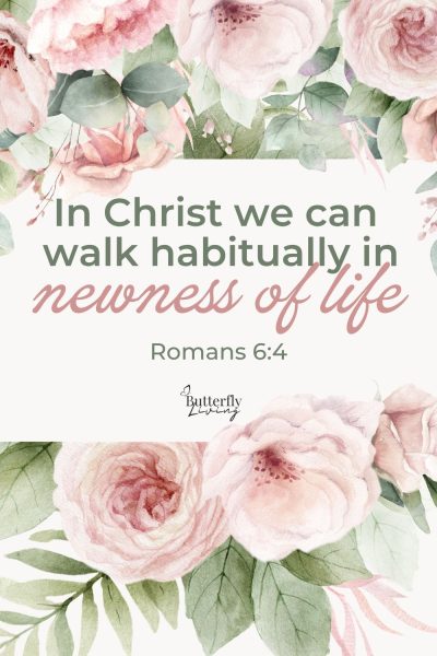 roses-identity in Christ