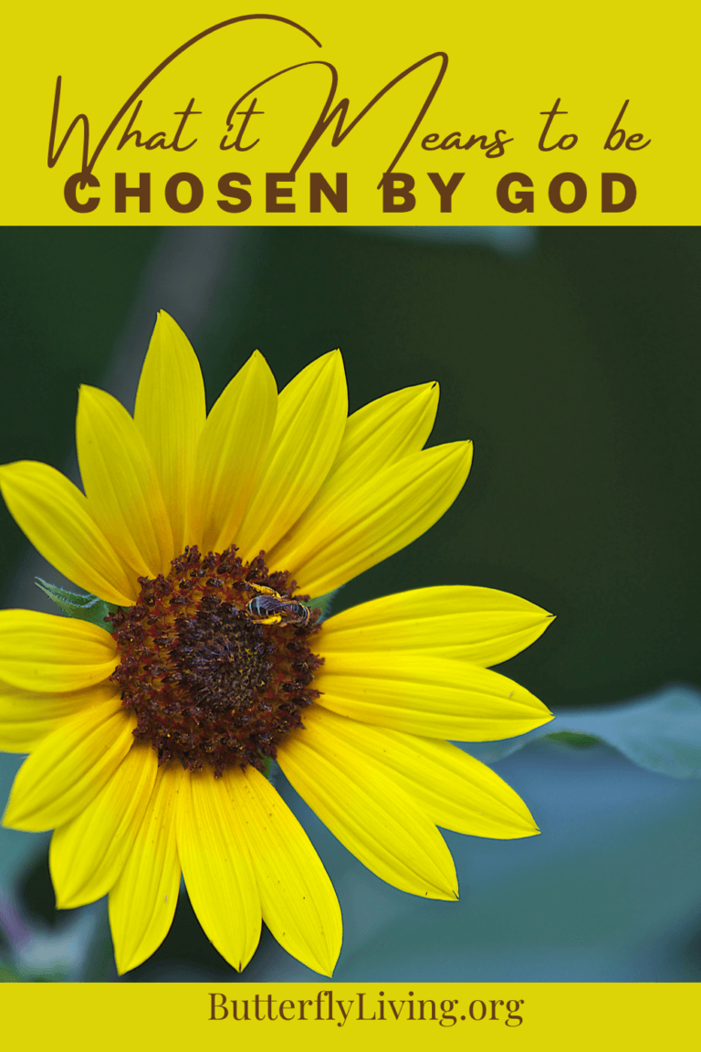 What Does It Mean To Be Chosen By God