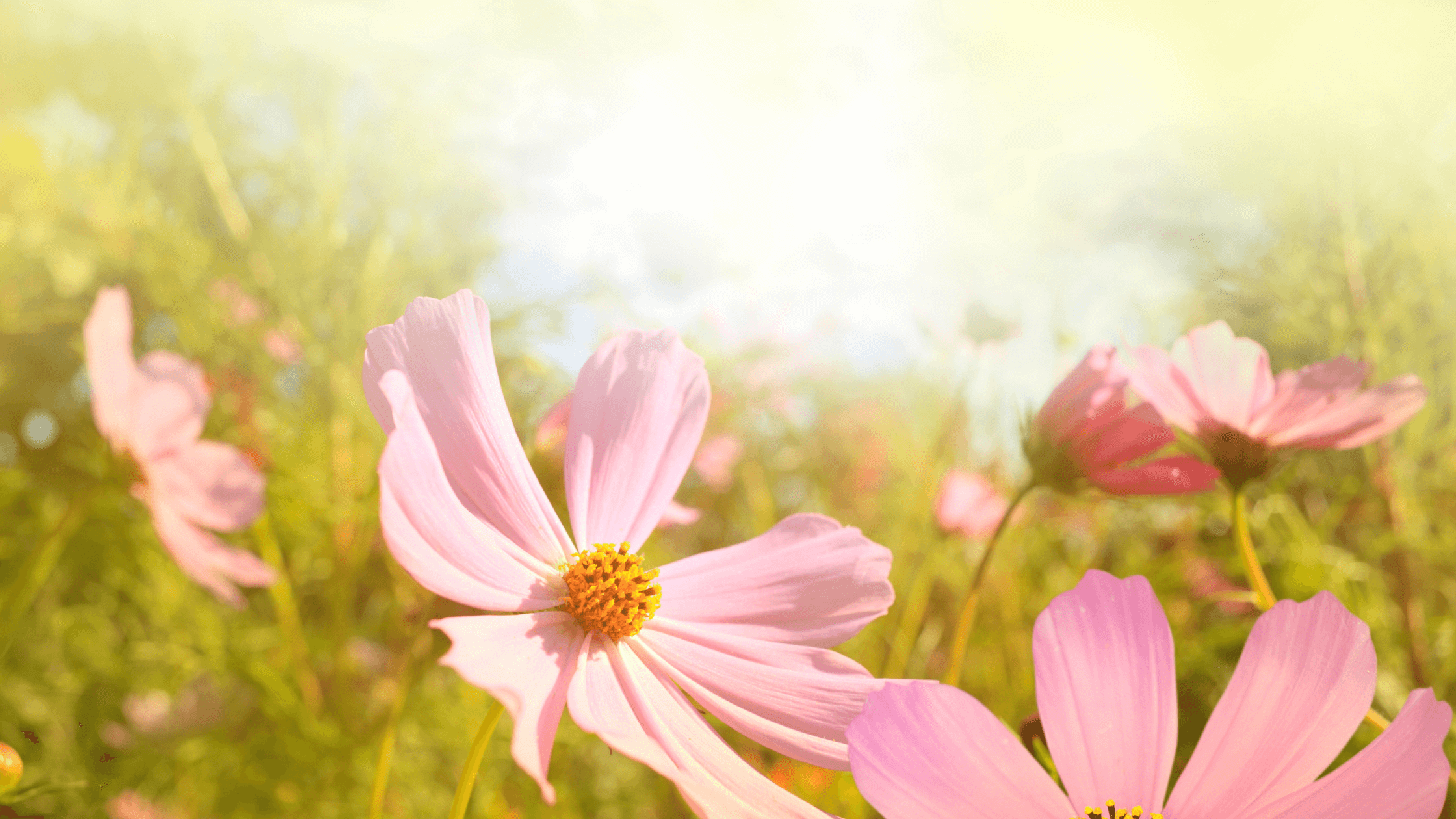 What Does the Bible Say about Encouragement? 5 Tips to Build Each Other Up