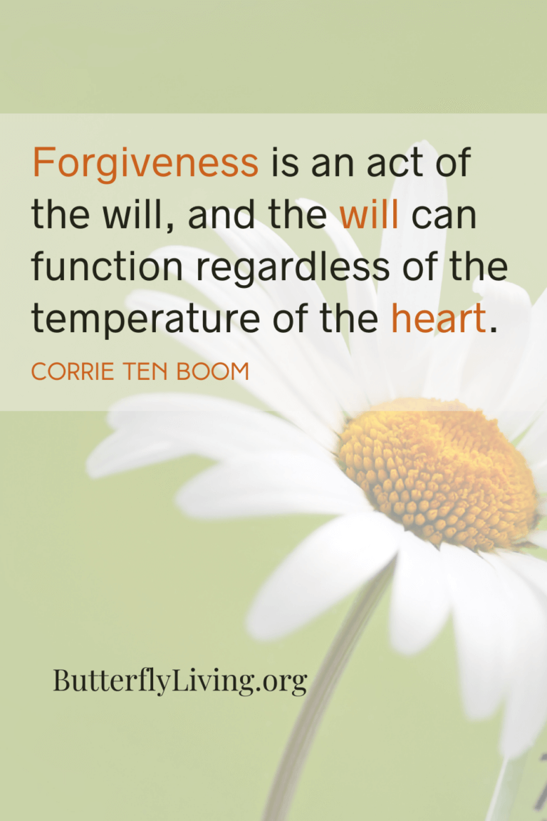 forgiveness definition essay