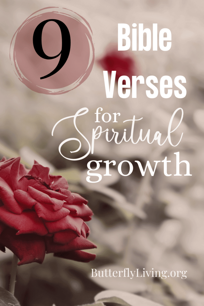 8 Helpful Keys to Spiritual Growth and A Closer Walk with God