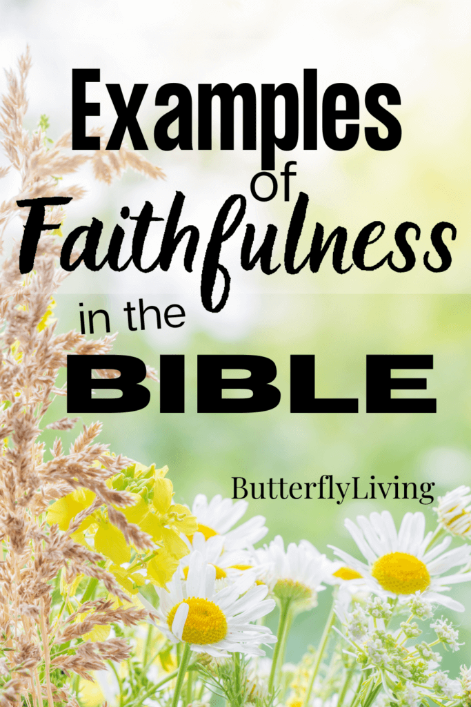 What Is Faithfulness Definition