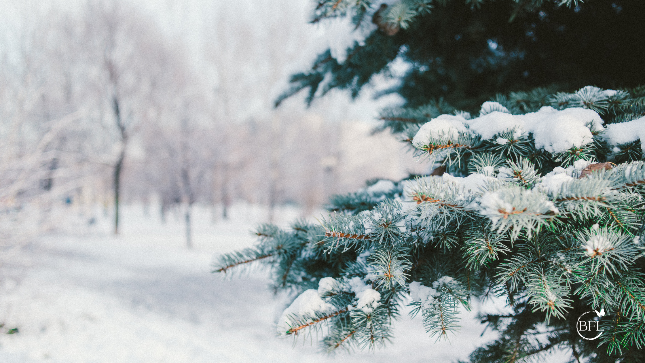 Special Family Christmas traditions