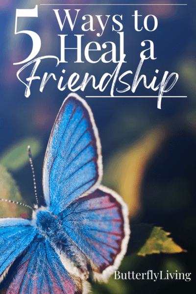 butterfly-how to fix a friendship