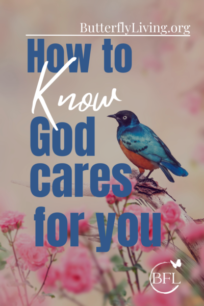 bird-God cares for you