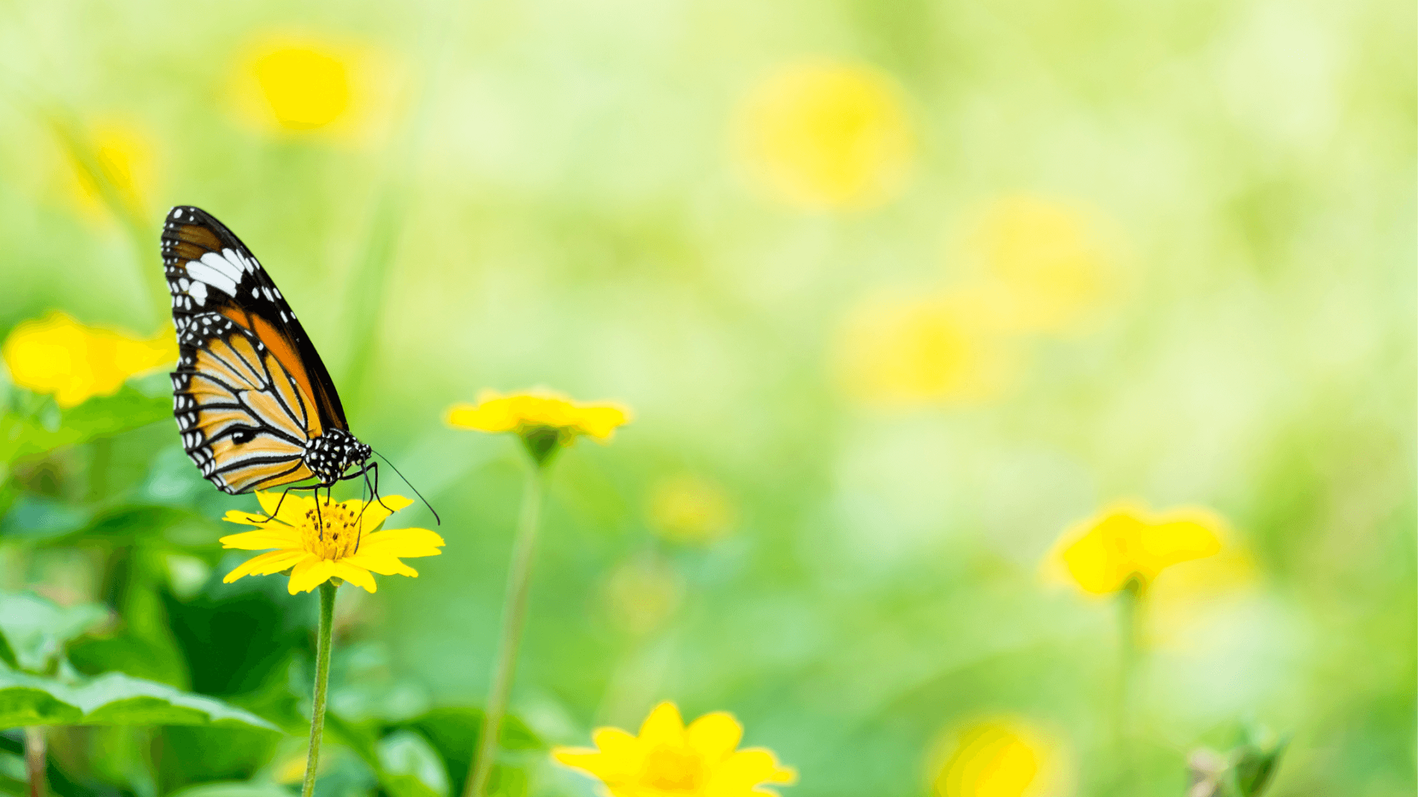 How to Know God Cares for You and 4 Inspiring Bible Stories about God's Love