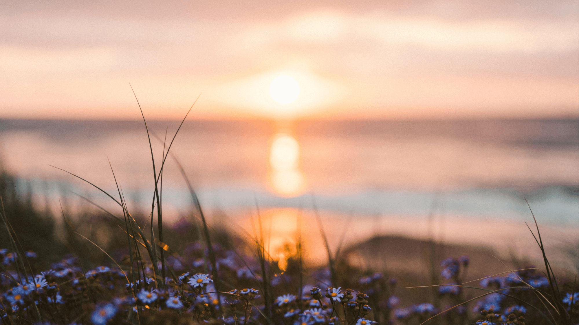 5 Powerful Steps for Healing Emotional Triggers