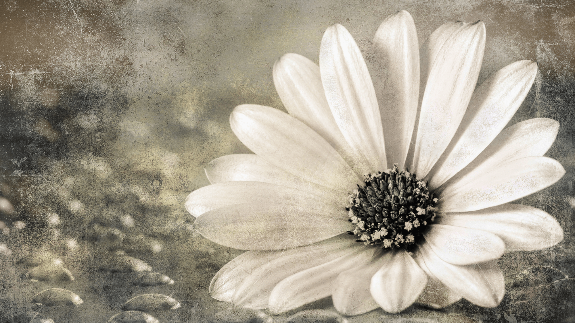 5 Exciting Ways Seeing Others Through God's Eyes Changes Your Relationships