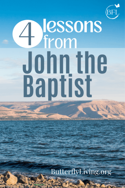 sea shore-the story of john the baptist
