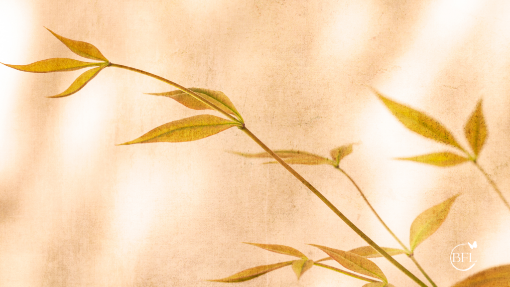 What Does the Bible Say About God's Grace? 6 Ways God's Grace Transforms Us