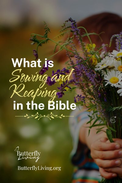 flowers-what does sowing and reaping mean