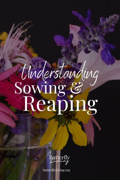 flowers-sowing and reaping