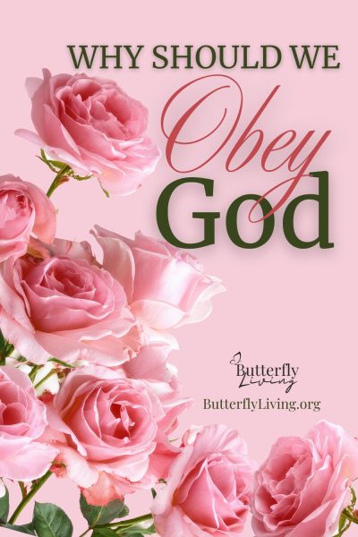 pink roses-obey God
