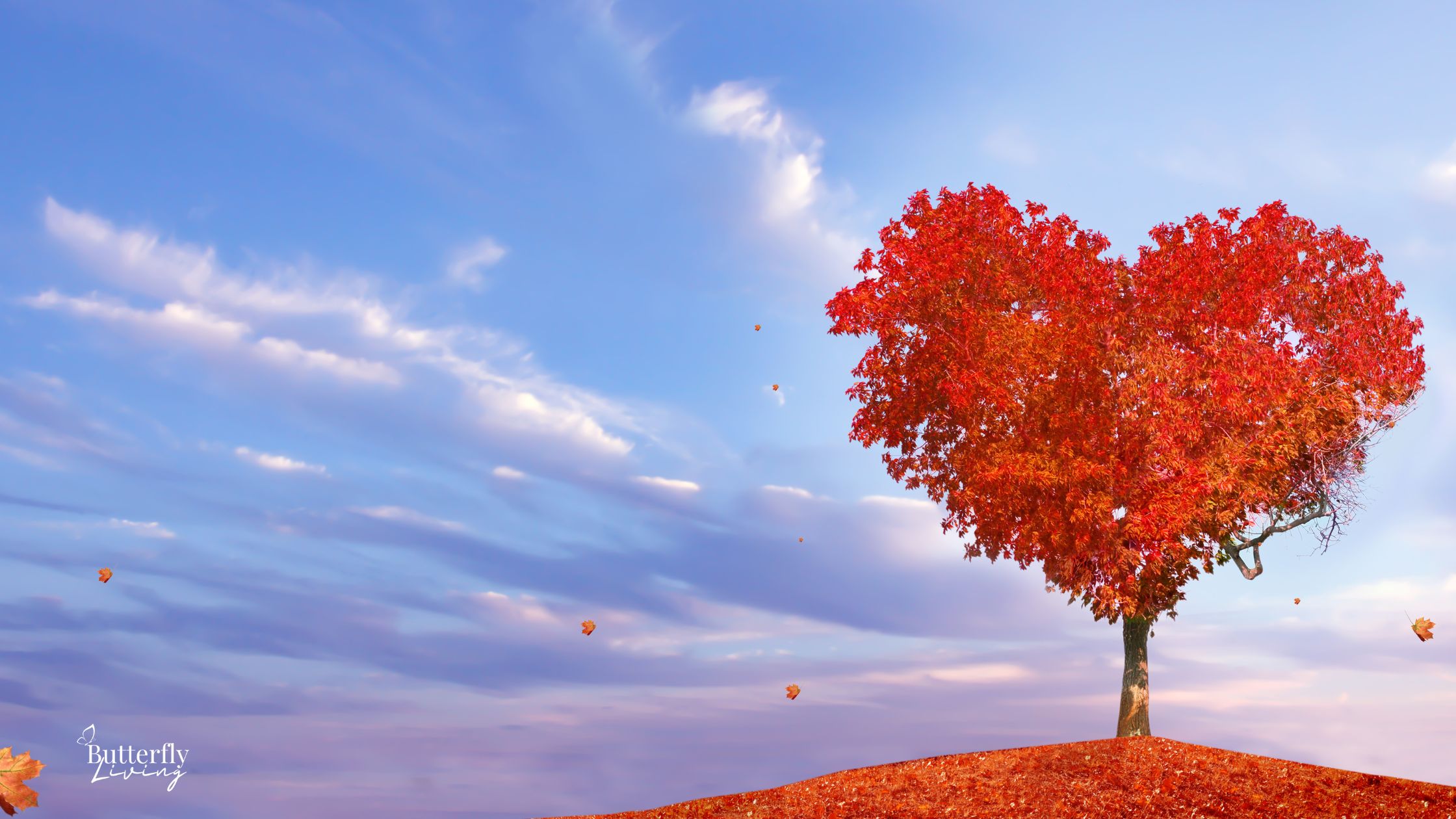 a heart tree-the story of the good samaritan