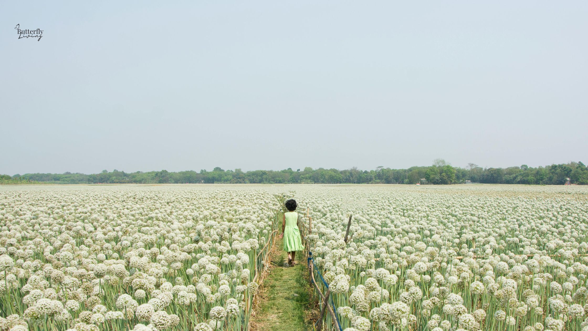 lady walking in flowers-story of Hagar
