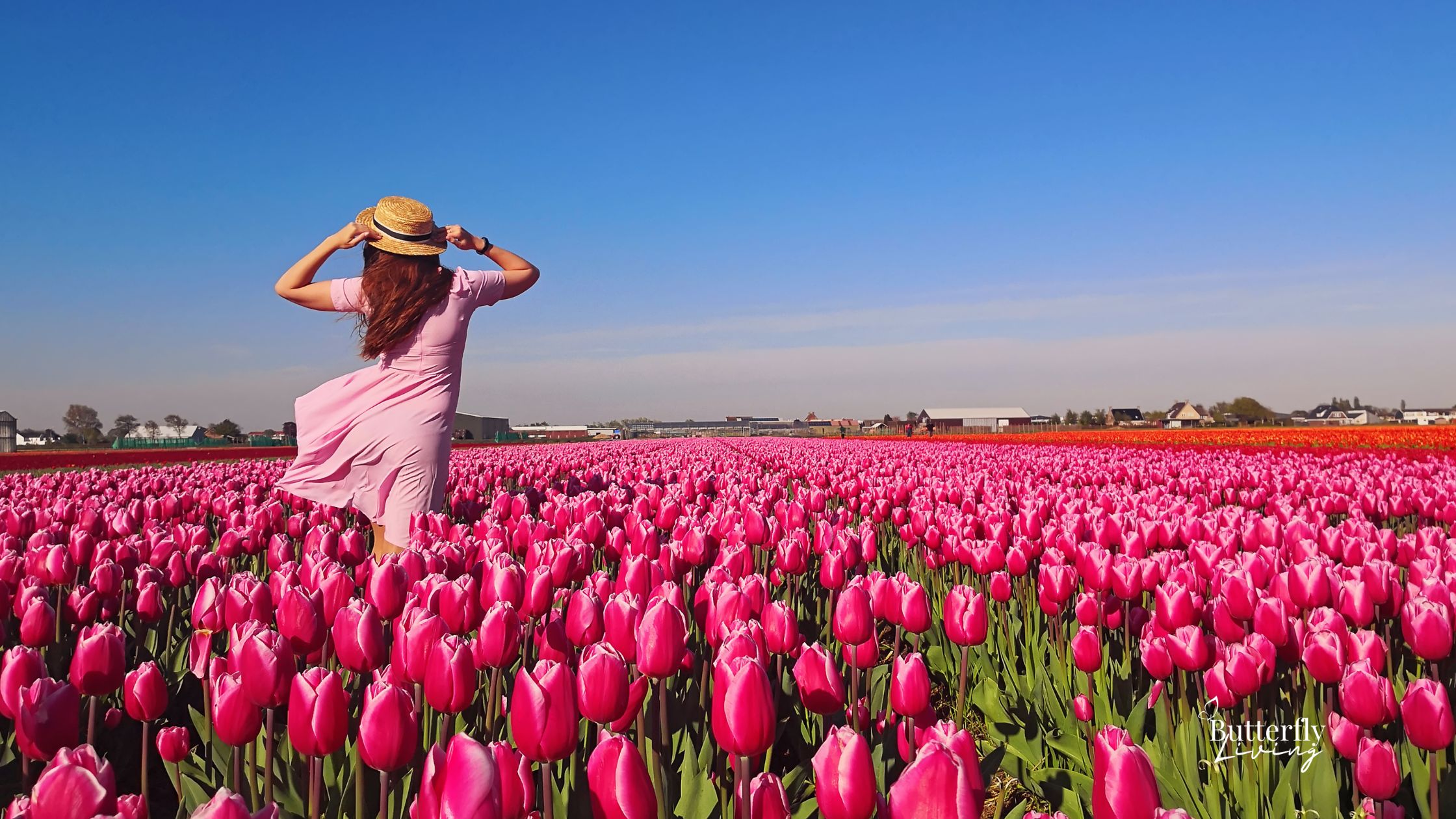 lady in field of tulips-stop worrying